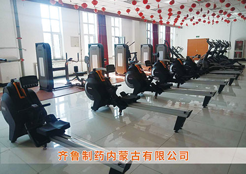 威客电竞为​齐鲁制药内蒙古分公司打造健身房